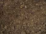 Screened Topsoil