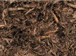 Premium Tanbark