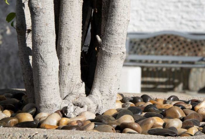 A. H. Reiff Landscape Supply Co. in Carlisle PA